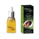 Fresh - Mints organic essential oils blend