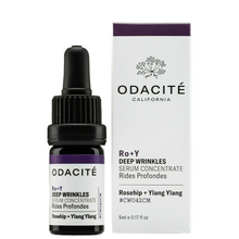 Facial Serum Ro + Y : Deep Wrinkles Odacité - Facial Serum Ro + Y : Deep Wrinkles