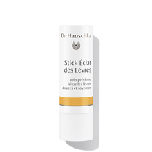 Lip Care Stick Dr. Hauschka - Organic Lip Care Stick