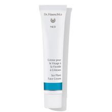 Ice Plant Face Cream Dr. Hauschka Med - Organic Ice Plant Face Cream