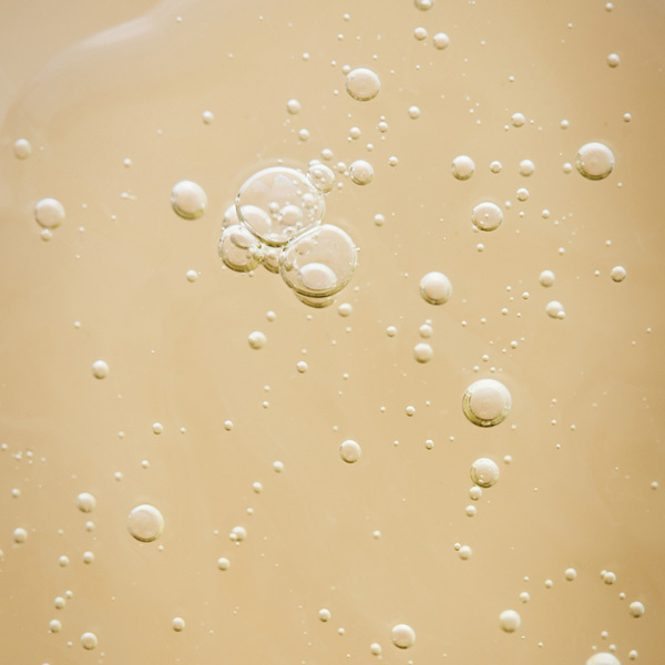 Absolution - Le Nettoyant Pureté - Organic cleansing gel