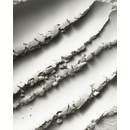 Manasi 7 - Silk Finish Powder - Translucent
