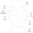Odacité - Crystal Contour Gua Sha in green aventurine