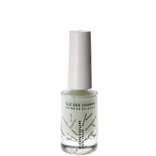 All seasons Eye cream Clé des Champs - All seasons organic Eye cream