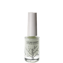 Clé des Champs - All seasons organic Eye cream