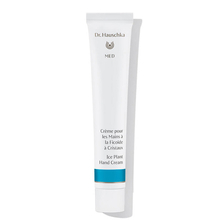 Dr. Hauschka Med - Organic Ice Plant Hand Cream