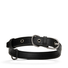 Matt & Nat - London black vegan dog collar