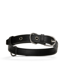 London dog collar - Black Matt & Nat - London black vegan dog collar