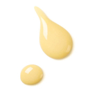 Dr. Hauschka - Organic Revitalising Day Lotion