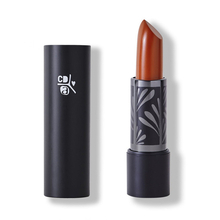 Absolution x Christophe Danchaud - Le Sorbet lip balm 14 - Brun de Mars