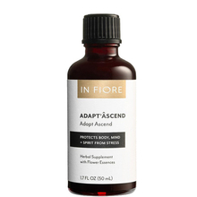 ADAPT'ÂSCEND - Body, mind & spirit Stress protecting Tincture In Fiore - ADAPT'ÂSCEND - Body, mind & spirit Stress protecting Tincture