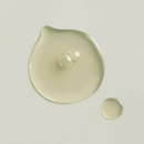 Whamisa - Inner Skin Moisture Bouncy Serum Cactus