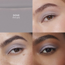 ILIA - Dove - Liquid Powder Matte Eye Tint MET-05