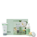 REN Skincare - Skin Zen Trio skincare gift set
