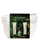 Antipodes Discovery Set