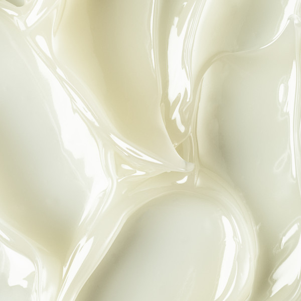 Manasi 7 - Captivating Essentials - Limited Edition Box Manasi 7 - Captivating Essentials - Limited Edition Box