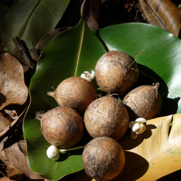 Innersense - Hydrating Cream Conditioner