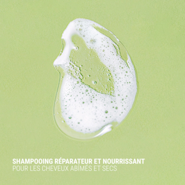 Antipodes - Repair & Nourish Shampoo Fig + Feijoa