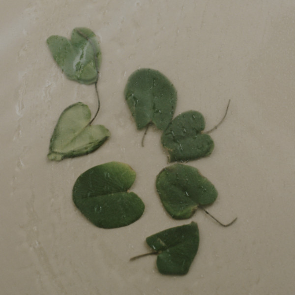 Hyeja - Heartleaf Niacinamide Calming Serum