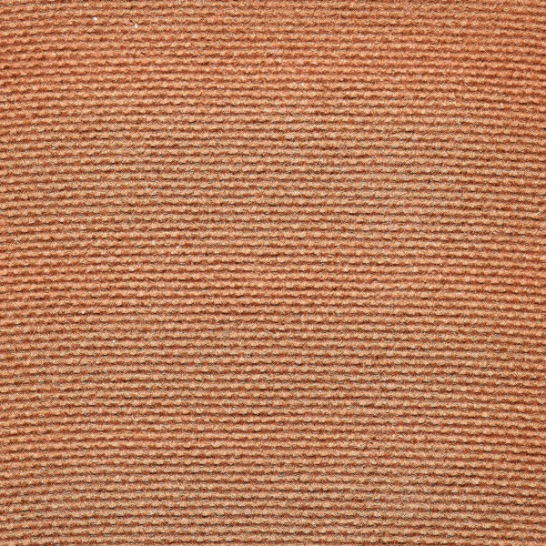 Eye of Horus - Eyeshadow Compact Axis