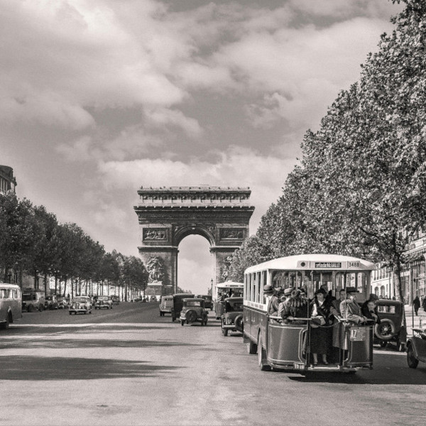 Cherigan - The Purple Bar