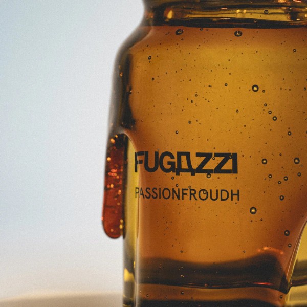 Fugazzi - Passionfroudh