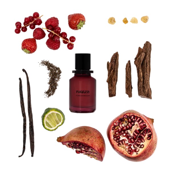 Fugazzi - Pomegranoudh