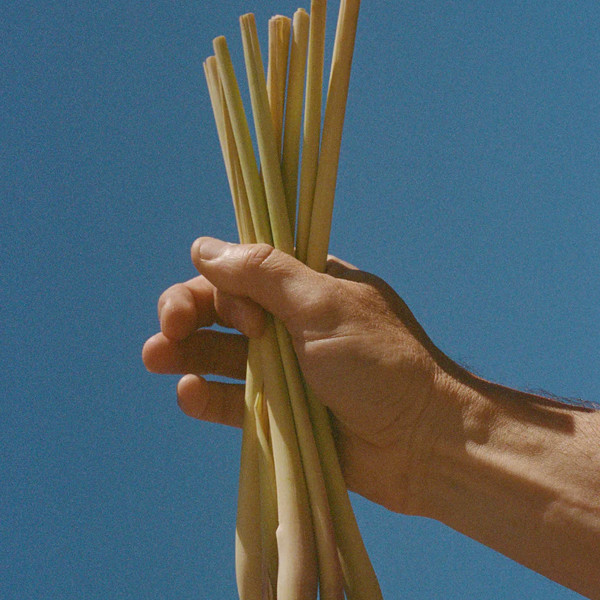 L:a Bruket - Lemongrass Conditioner 112 L:a Bruket - Lemongrass Conditioner 112