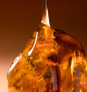 Amber and milk gourmand fragrance Ambre Latte by Essential Parfums