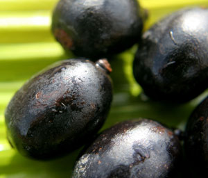 Ungurahua nut, the origin of the natural care ingredient of the Rahua hair brand