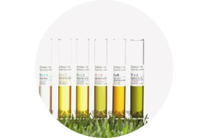 Odacité, marque de produits de beauté et cosmétiques bio
